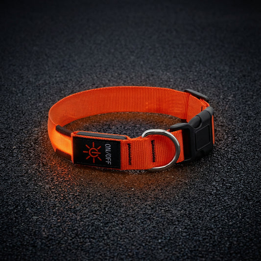 ARKENLUME™ – Collier LED de Sécurité